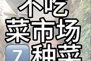 德天空：贝林若进欧冠最佳阵多特也有奖金，今夏已至少拿1000万欧